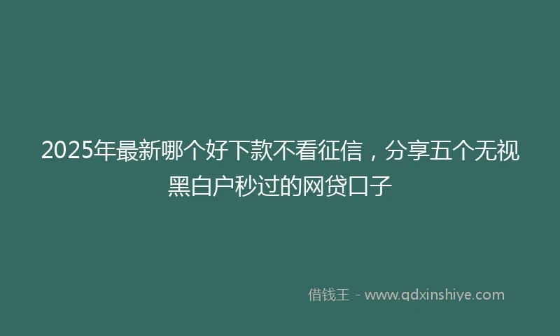 2025年最新哪个好下款不看征信，分享五个无视黑白户秒过的网贷口子