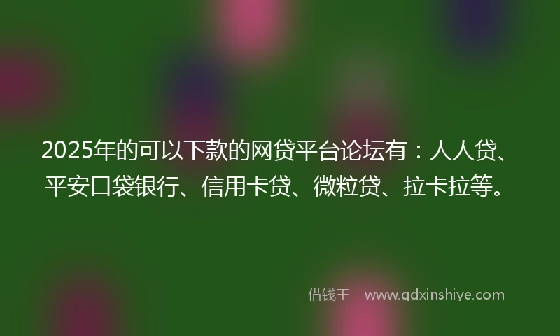 2025年的可以下款的网贷平台论坛有：人人贷、平安口袋银行、信用卡贷、微粒贷、拉卡拉等。