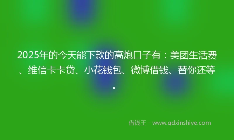 2025年的今天能下款的高炮口子有：美团生活费、维信卡卡贷、小花钱包、微博借钱、替你还等。