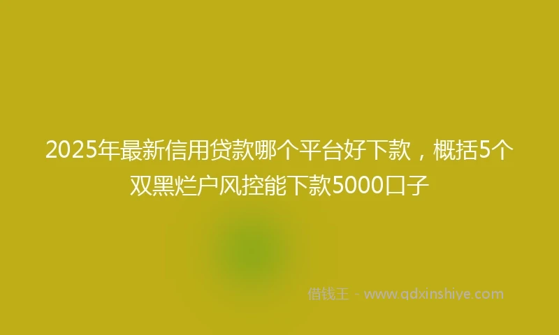2025年最新信用贷款哪个平台好下款，概括5个双黑烂户风控能下款5000口子