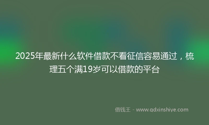 2025年最新什么软件借款不看征信容易通过，梳理五个满19岁可以借款的平台
