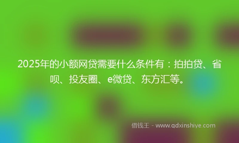 2025年的小额网贷需要什么条件有：拍拍贷、省呗、投友圈、e微贷、东方汇等。
