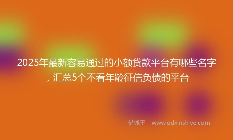2025年最新容易通过的小额贷款平台有哪些名字，汇总5个不看年龄征信负债的平台