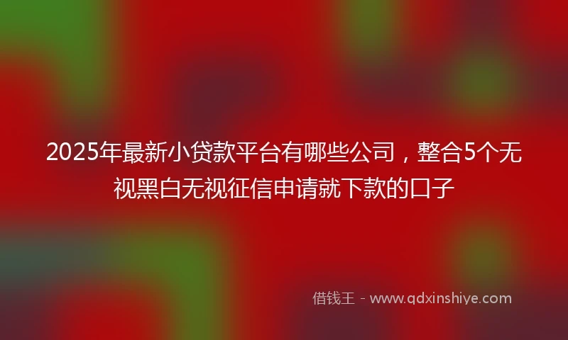 2025年最新小贷款平台有哪些公司，整合5个无视黑白无视征信申请就下款的口子