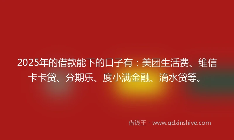 2025年的借款能下的口子有：美团生活费、维信卡卡贷、分期乐、度小满金融、滴水贷等。
