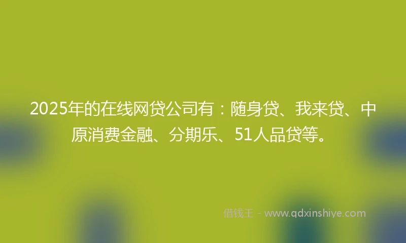2025年的在线网贷公司有：随身贷、我来贷、中原消费金融、分期乐、51人品贷等。