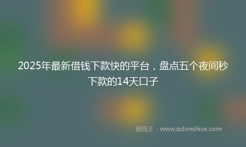 2025年最新借钱下款快的平台，盘点五个夜间秒下款的14天口子