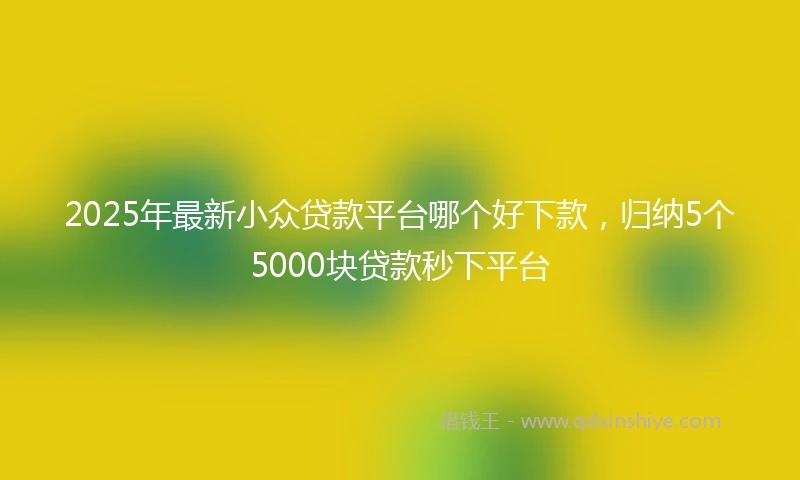 2025年最新小众贷款平台哪个好下款，归纳5个5000块贷款秒下平台