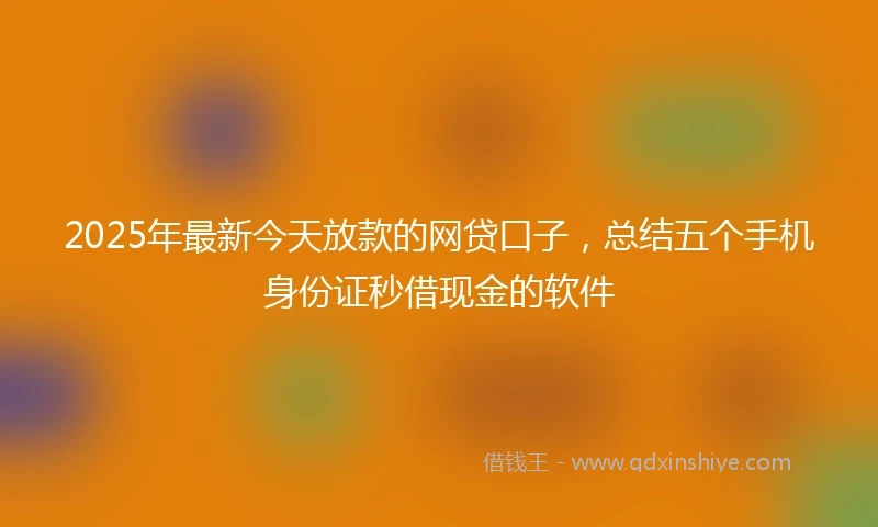 2025年最新今天放款的网贷口子，总结五个手机身份证秒借现金的软件