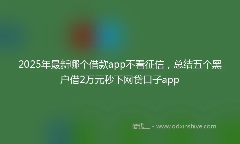 2025年最新哪个借款app不看征信，总结五个黑户借2万元秒下网贷口子app