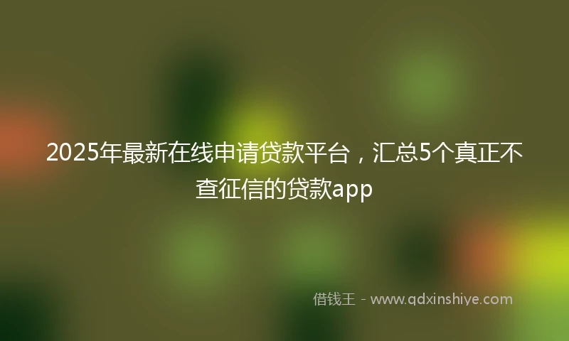 2025年最新在线申请贷款平台，汇总5个真正不查征信的贷款app
