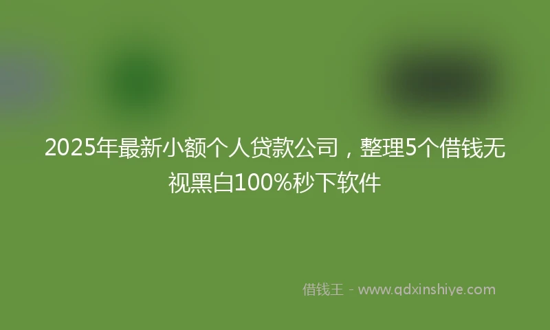 2025年最新小额个人贷款公司，整理5个借钱无视黑白100%秒下软件