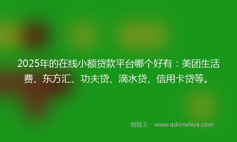 2025年的在线小额贷款平台哪个好有：美团生活费、东方汇、功夫贷、滴水贷、信用卡贷等。