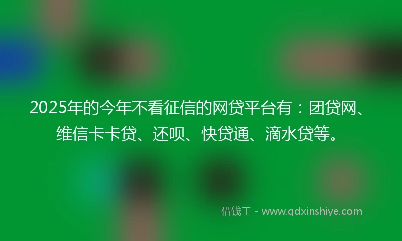 2025年的今年不看征信的网贷平台有：团贷网、维信卡卡贷、还呗、快贷通、滴水贷等。