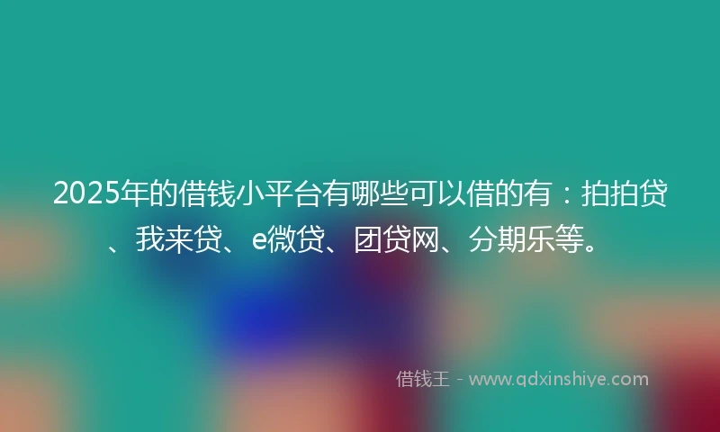 2025年的借钱小平台有哪些可以借的有：拍拍贷、我来贷、e微贷、团贷网、分期乐等。