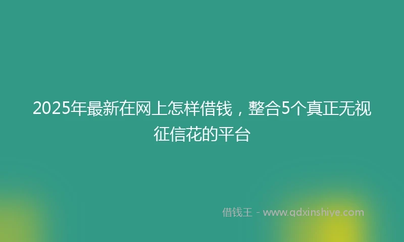 2025年最新在网上怎样借钱，整合5个真正无视征信花的平台