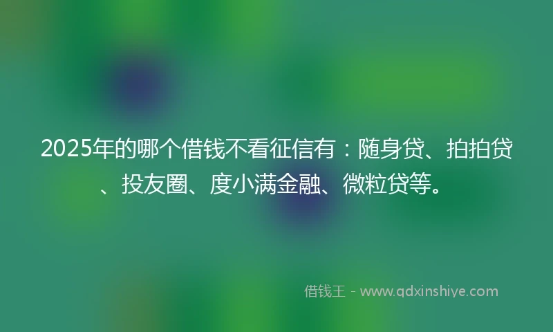 2025年的哪个借钱不看征信有：随身贷、拍拍贷、投友圈、度小满金融、微粒贷等。