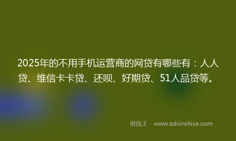 2025年的不用手机运营商的网贷有哪些有：人人贷、维信卡卡贷、还呗、好期贷、51人品贷等。