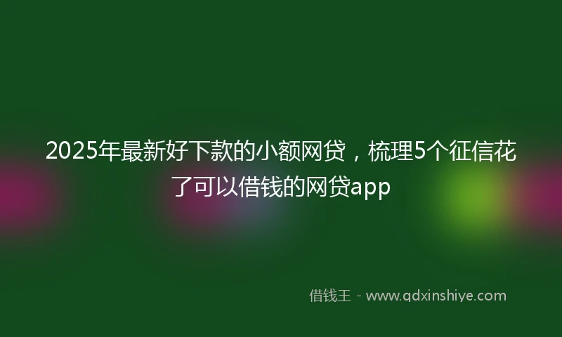 2025年最新好下款的小额网贷，梳理5个征信花了可以借钱的网贷app