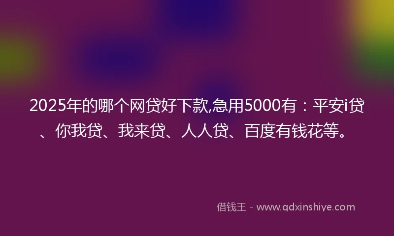 2025年的哪个网贷好下款,急用5000有：平安i贷、你我贷、我来贷、人人贷、百度有钱花等。