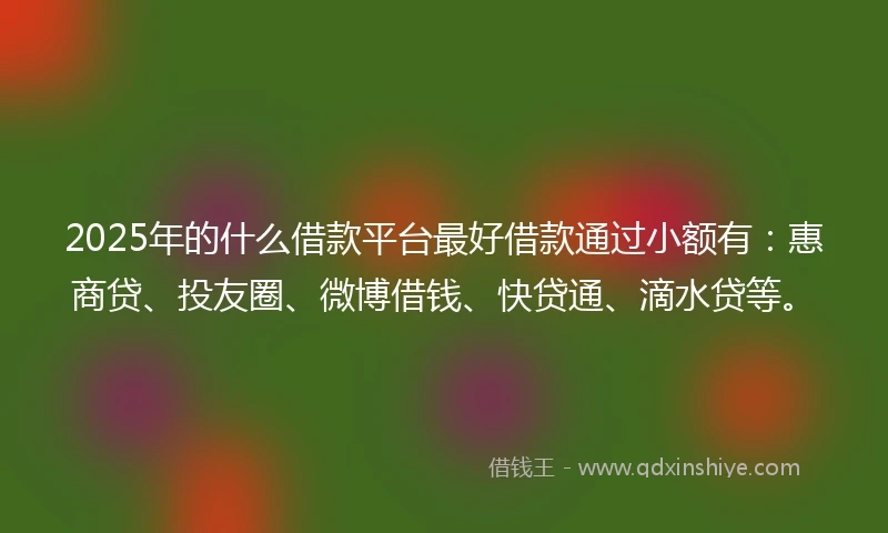2025年的什么借款平台最好借款通过小额有：惠商贷、投友圈、微博借钱、快贷通、滴水贷等。