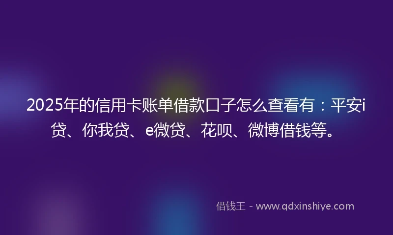 2025年的信用卡账单借款口子怎么查看有：平安i贷、你我贷、e微贷、花呗、微博借钱等。