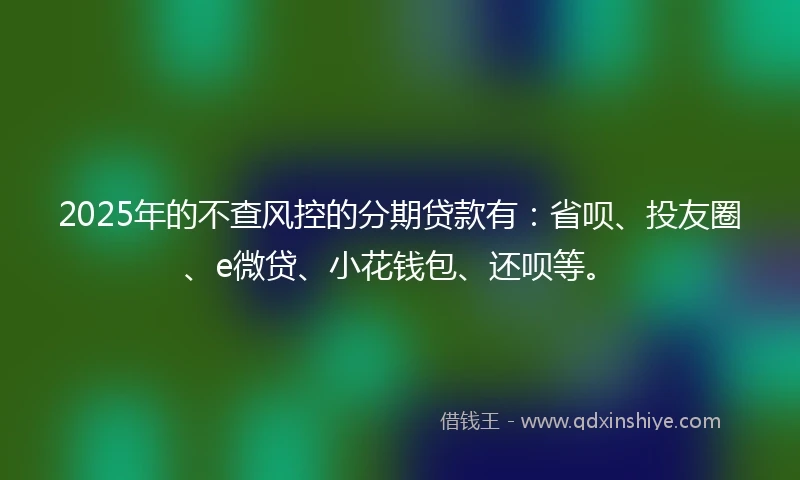 2025年的不查风控的分期贷款有：省呗、投友圈、e微贷、小花钱包、还呗等。