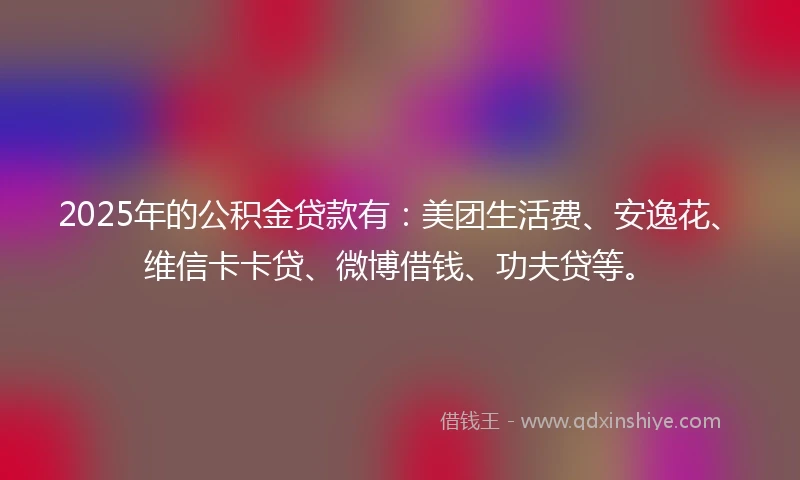 2025年的公积金贷款有：美团生活费、安逸花、维信卡卡贷、微博借钱、功夫贷等。
