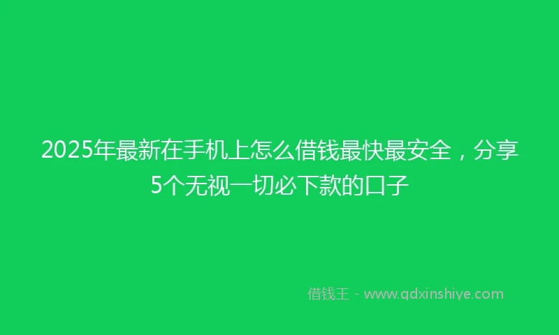 2025年最新在手机上怎么借钱最快最安全，分享5个无视一切必下款的口子