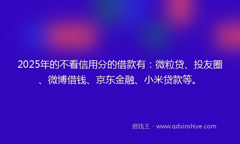 2025年的不看信用分的借款有：微粒贷、投友圈、微博借钱、京东金融、小米贷款等。