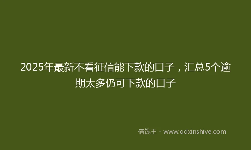 2025年最新不看征信能下款的口子，汇总5个逾期太多仍可下款的口子