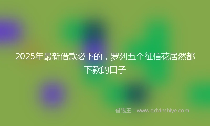 2025年最新借款必下的，罗列五个征信花居然都下款的口子