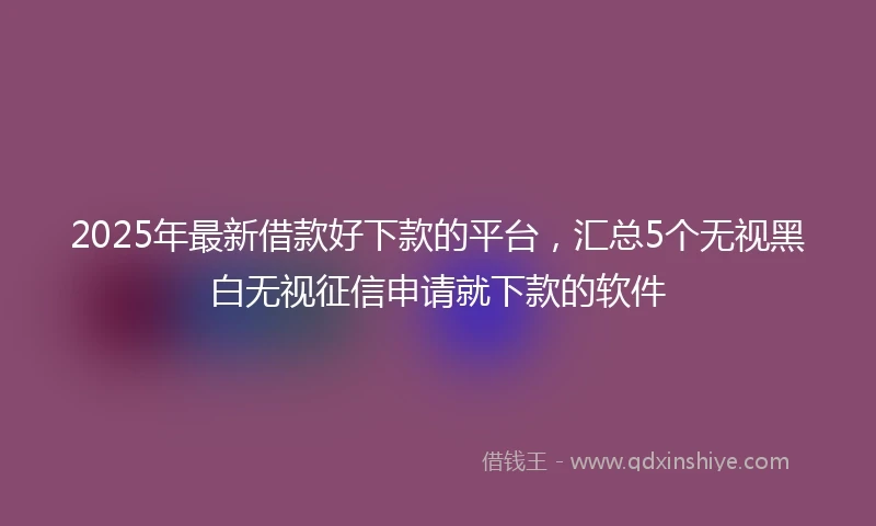 2025年最新借款好下款的平台，汇总5个无视黑白无视征信申请就下款的软件