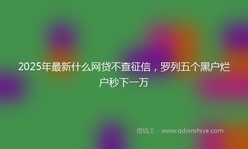 2025年最新什么网贷不查征信，罗列五个黑户烂户秒下一万