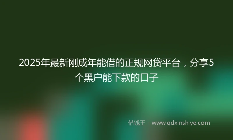 2025年最新刚成年能借的正规网贷平台，分享5个黑户能下款的口子