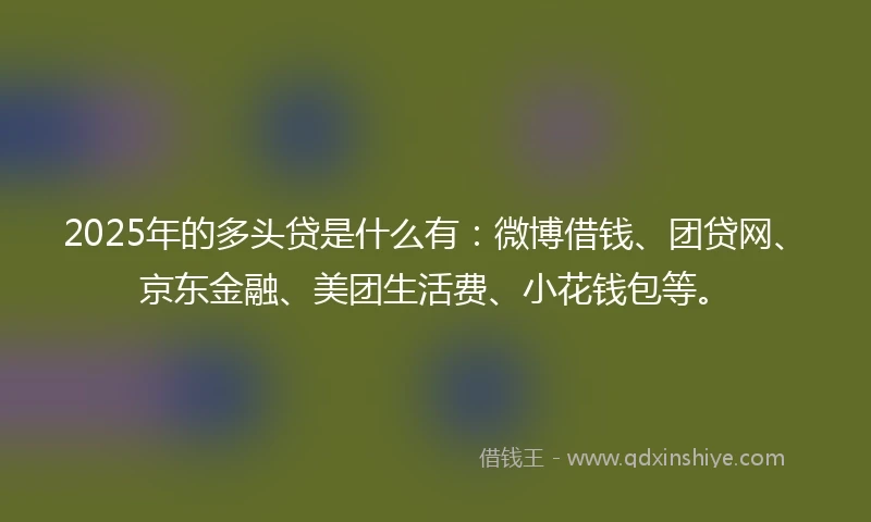 2025年的多头贷是什么有:微博借钱、团贷网、京东金融、美团生活费、小花钱包等。