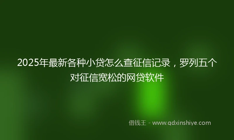 2025年最新各种小贷怎么查征信记录，罗列五个对征信宽松的网贷软件