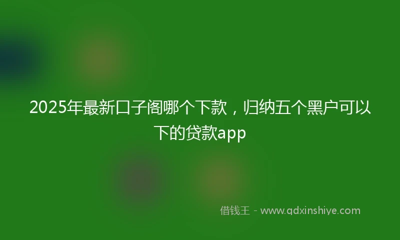 2025年最新口子阁哪个下款，归纳五个黑户可以下的贷款app