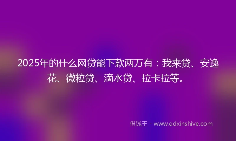 2025年的什么网贷能下款两万有：我来贷、安逸花、微粒贷、滴水贷、拉卡拉等。