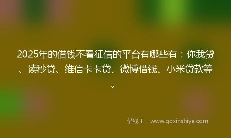2025年的借钱不看征信的平台有哪些有：你我贷、读秒贷、维信卡卡贷、微博借钱、小米贷款等。