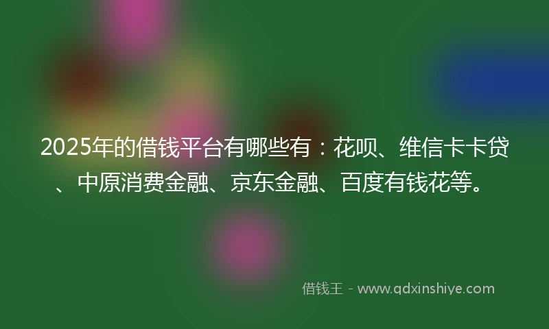 2025年的借钱平台有哪些有：花呗、维信卡卡贷、中原消费金融、京东金融、百度有钱花等。