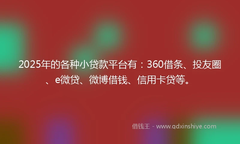 2025年的各种小贷款平台有：360借条、投友圈、e微贷、微博借钱、信用卡贷等。