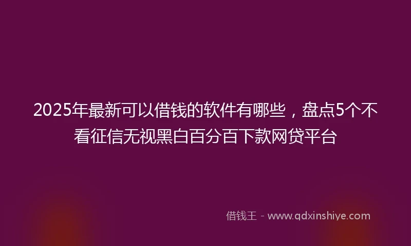 2025年最新可以借钱的软件有哪些，盘点5个不看征信无视黑白百分百下款网贷平台