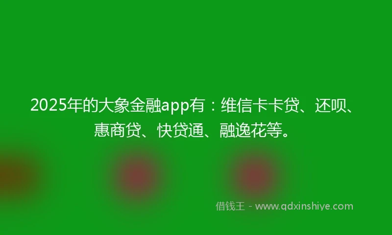 2025年的大象金融app有：维信卡卡贷、还呗、惠商贷、快贷通、融逸花等。
