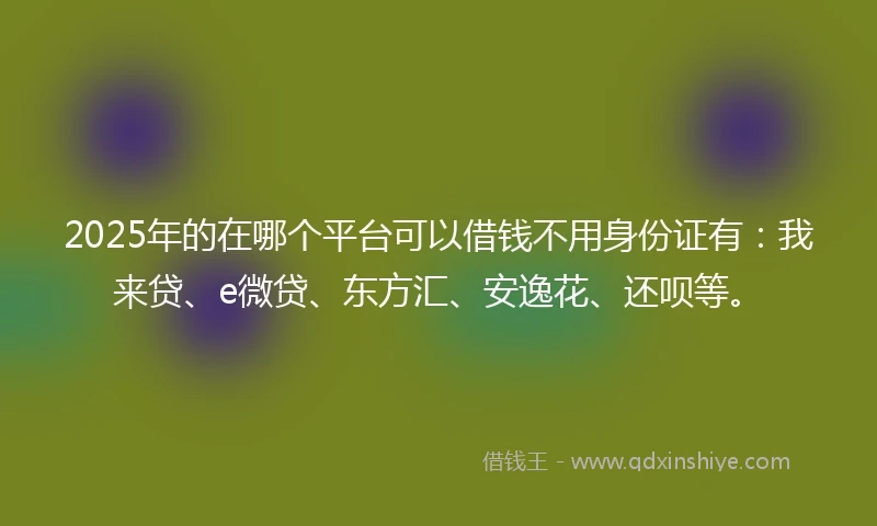 2025年的在哪个平台可以借钱不用身份证有：我来贷、e微贷、东方汇、安逸花、还呗等。