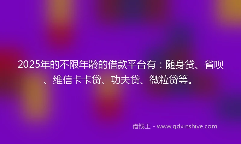 2025年的不限年龄的借款平台有：随身贷、省呗、维信卡卡贷、功夫贷、微粒贷等。