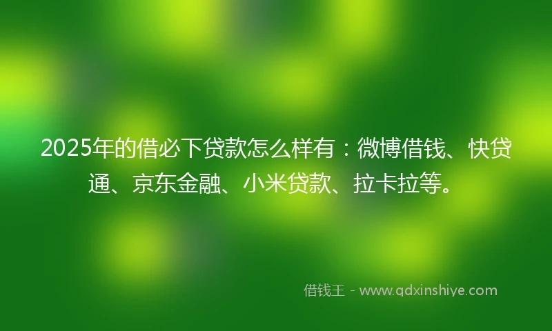 2025年的借必下贷款怎么样有：微博借钱、快贷通、京东金融、小米贷款、拉卡拉等。