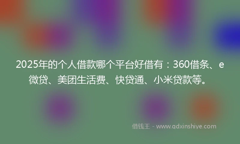 2025年的个人借款哪个平台好借有：360借条、e微贷、美团生活费、快贷通、小米贷款等。