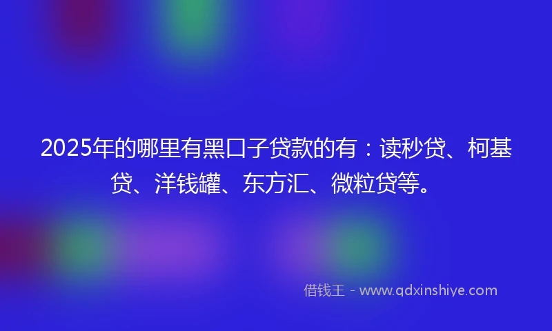 2025年的哪里有黑口子贷款的有：读秒贷、柯基贷、洋钱罐、东方汇、微粒贷等。