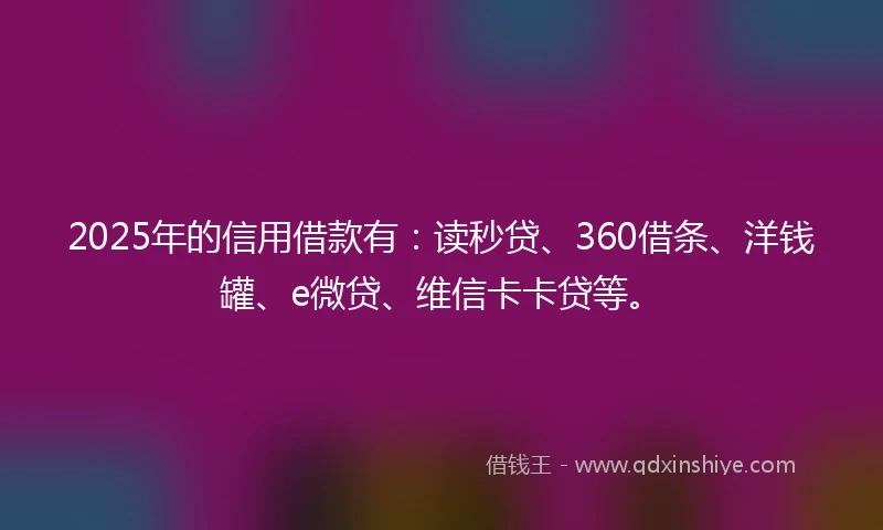 2025年的信用借款有：读秒贷、360借条、洋钱罐、e微贷、维信卡卡贷等。
